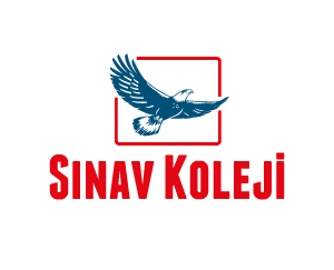 sinav-koleji-logo
